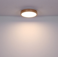 Потолочный светильник Rainer 41745-24